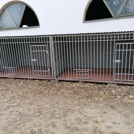 Sokoró Panzió